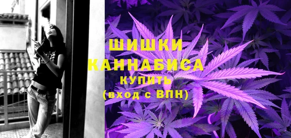 ГАЛЛЮЦИНОГЕННЫЕ ГРИБЫ Баксан