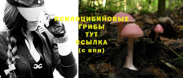 первитин Армянск