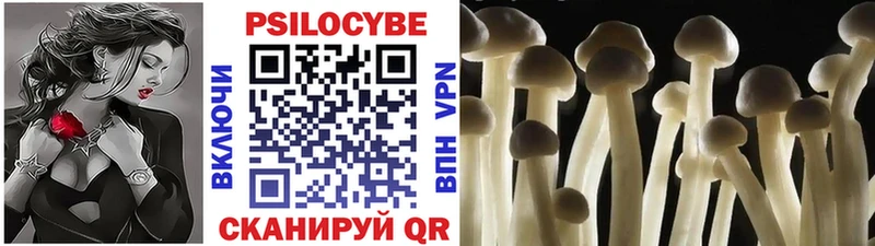 Галлюциногенные грибы Cubensis  omg сайт  Северобайкальск 